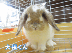 140923j1.gif