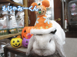140925c.gif