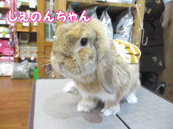 140925e.gif