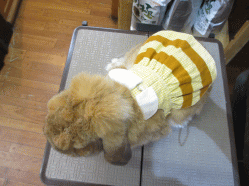 140925f.gif