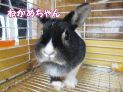 140925k.gif