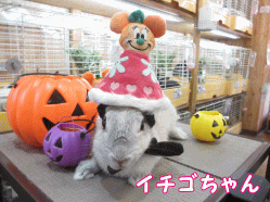 140926a1.gif