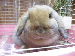 140926c2.gif