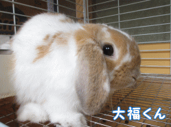 140926e1.gif