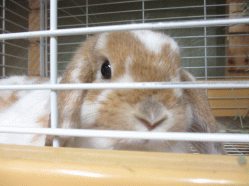 140926e2.gif