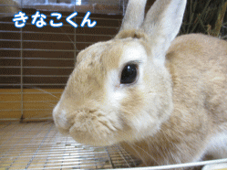 140926f1.gif