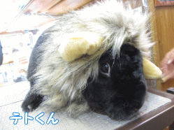 140927b1.gif