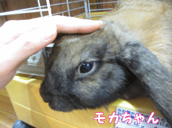 140927c1.gif