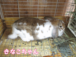 140927f1.gif