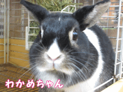 140927g1.gif