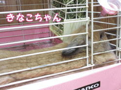 140927h1.gif
