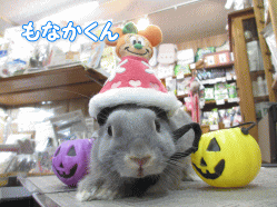 140928a.gif