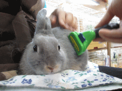 140928b.gif