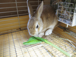 140928n.gif
