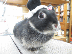 140929d.gif