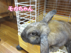 140929g.gif