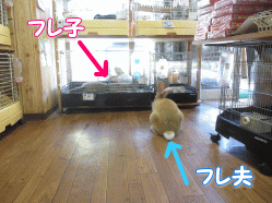 140930a.gif