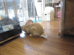 140930b.gif
