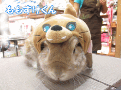 140930e.gif