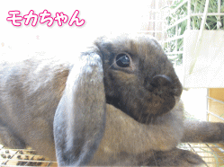 140930k.gif
