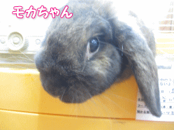 141002a.gif