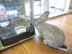 141002h.gif