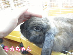 141003b1.gif