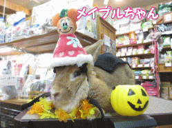141004a.gif