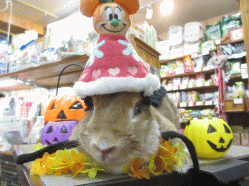 141004b.gif