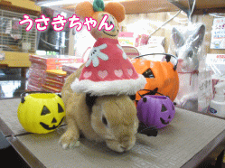 141004g.gif