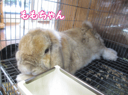 141004k.gif