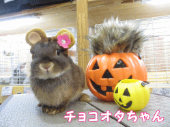 141005b1.gif