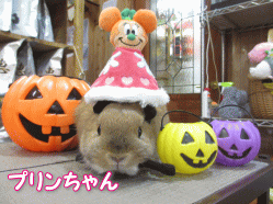 141008e.gif