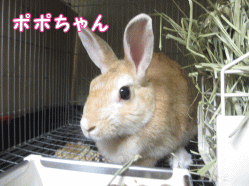 141010c1.gif