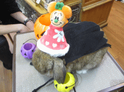 141011a2.gif