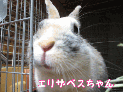 141011d1.gif
