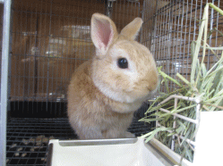 141011e2.gif