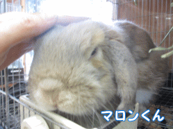 141011f1.gif