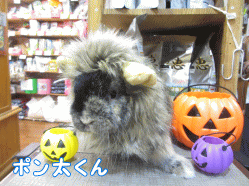 141011h1.gif