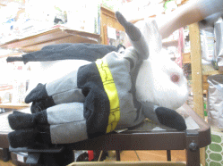 141012b.gif