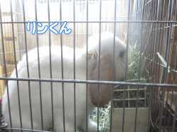 141012q.gif