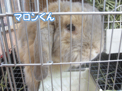 141012s.gif