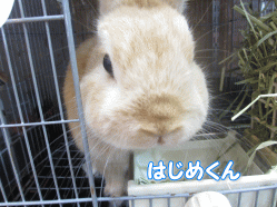 141012u.gif