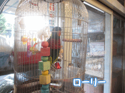141014e.gif