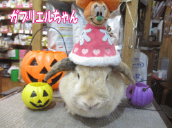 141016a.gif