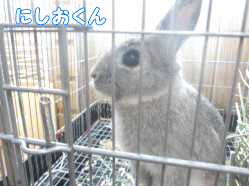 141017d1.gif