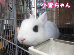 141017e1.gif