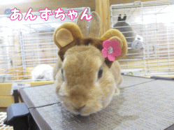 141017f1.gif