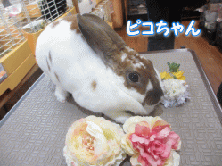 141018g.gif