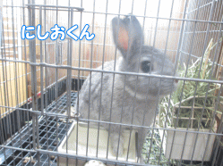 141018m.gif
